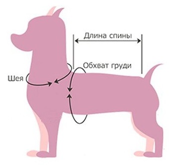 Размеры собаки